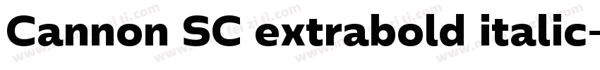 Cannon SC extrabold italic字体转换